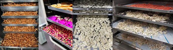 máy sấy thực phầm